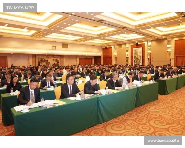 2025年粤港澳举办第十五届运动会 数据分析助力赛事筹备与发展 2025年粤港澳举办第十五届运动会 数据分析助力赛事筹备与发展