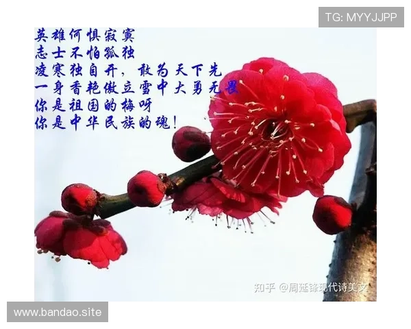 傲雪凌霜不畏寒,勇敢坚韧如梅花,寒冬中绽放生命之光 傲雪凌霜不畏寒,勇敢坚韧如梅花,寒冬中绽放生命之光